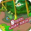 Hidden Angry Birds spel
