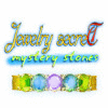 Jewelry Secret: Mystery Stones spel