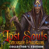 Lost Souls: Enchanted Paintings Collector's Edition spel