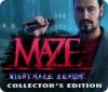 Maze: Nightmare Realm Collector's Edition spel