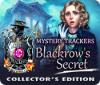 Mystery Trackers: Blackrow's Secret Collector's Edition spel