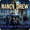 Nancy Drew: Ghost Dogs of Moon Lake spel