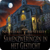 Nightfall Mysteries: Samenzweringen in het Gesticht spel