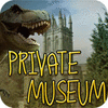 Private Museum spel