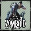 Project Zomboid game