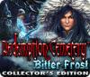Redemption Cemetery: Bitter Frost Collector's Edition spel