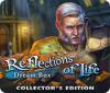 Reflections of Life: Dream Box Collector's Edition spel