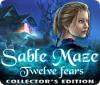 Sable Maze: Twelve Fears Collector's Edition spel