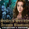 Sister's Secrecy: Arcanum Bloodlines Collector's Edition spel