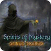 Spirits of Mystery: Amber Maiden Collector's Edition spel