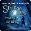 Strange Cases: The Secrets of Grey Mist Lake Collector's Edition spel