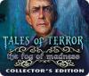 Tales of Terror: The Fog of Madness Collector's Edition spel
