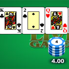 TEXAS HOLDEM POKER spel