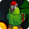 Thirsty Parrot spel