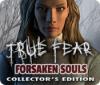 True Fear: Forsaken Souls Collector's Edition spel