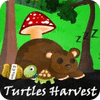 Turtles Harvest spel