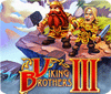 Viking Brothers 3. Collector's Edition spel