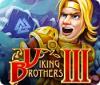 Viking Brothers 3 spel