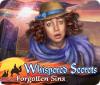 Whispered Secrets: Forgotten Sins spel